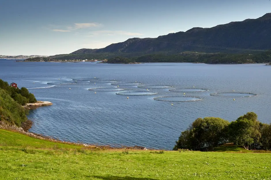 SalmonChile Summit 2026: claves para el futuro del salmón en Los Lagos